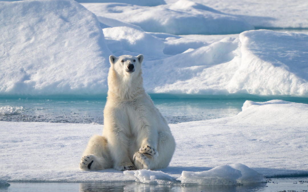 Expedition Spitzbergen